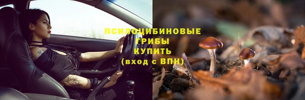 амф Нефтегорск