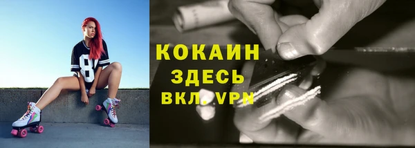 крисы Нея