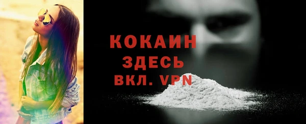крисы Нея