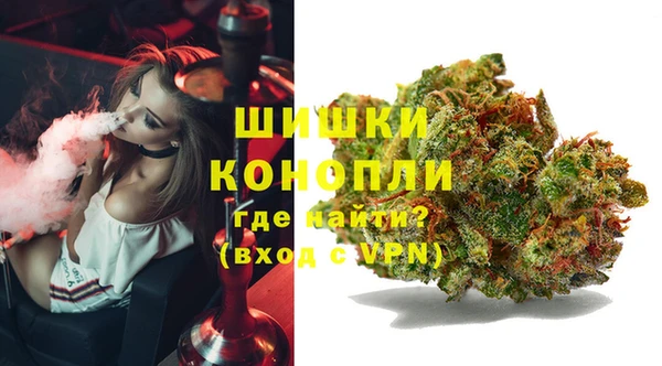 крисы Нея