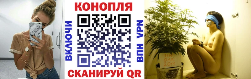Бошки марихуана VHQ  Кущёвская 